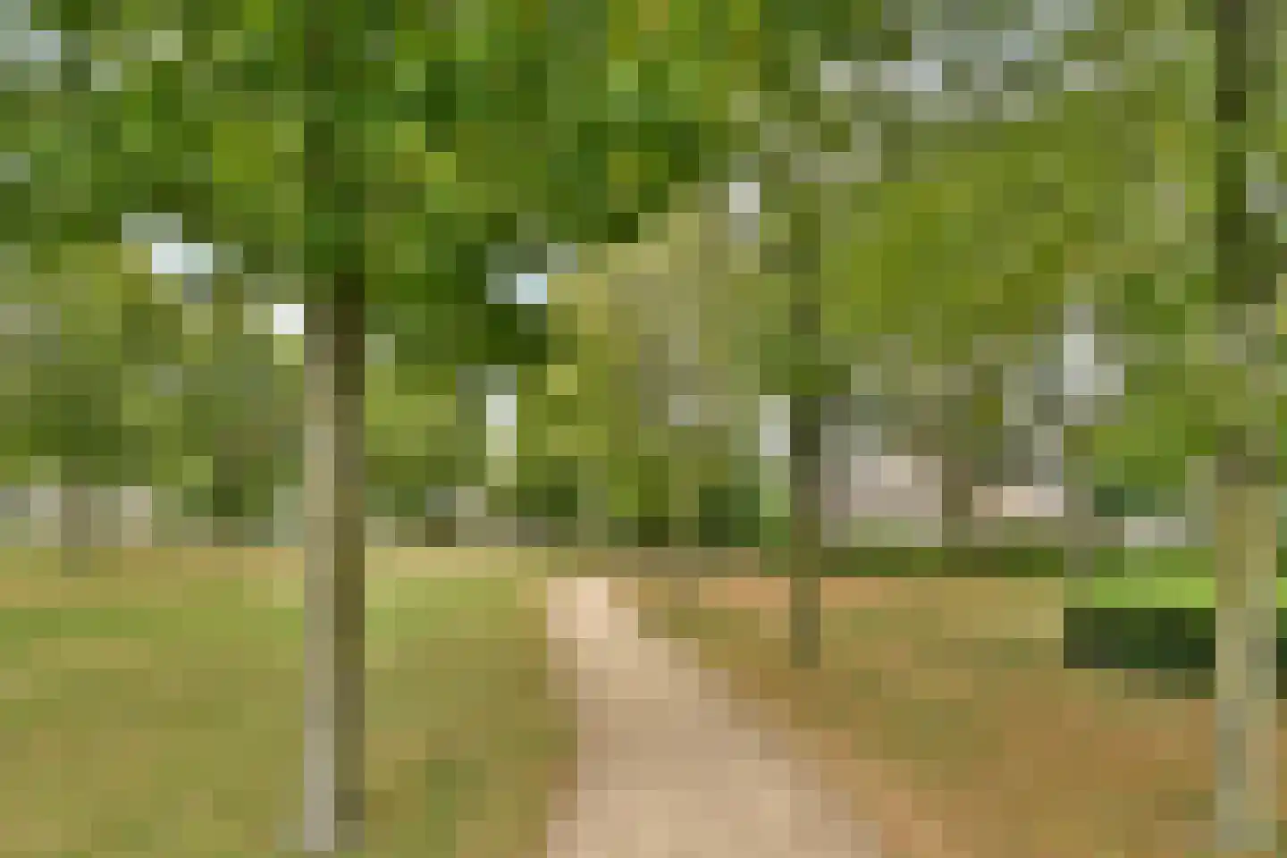 Strawinskystraat 17 Spijkenisse thumbnail 27