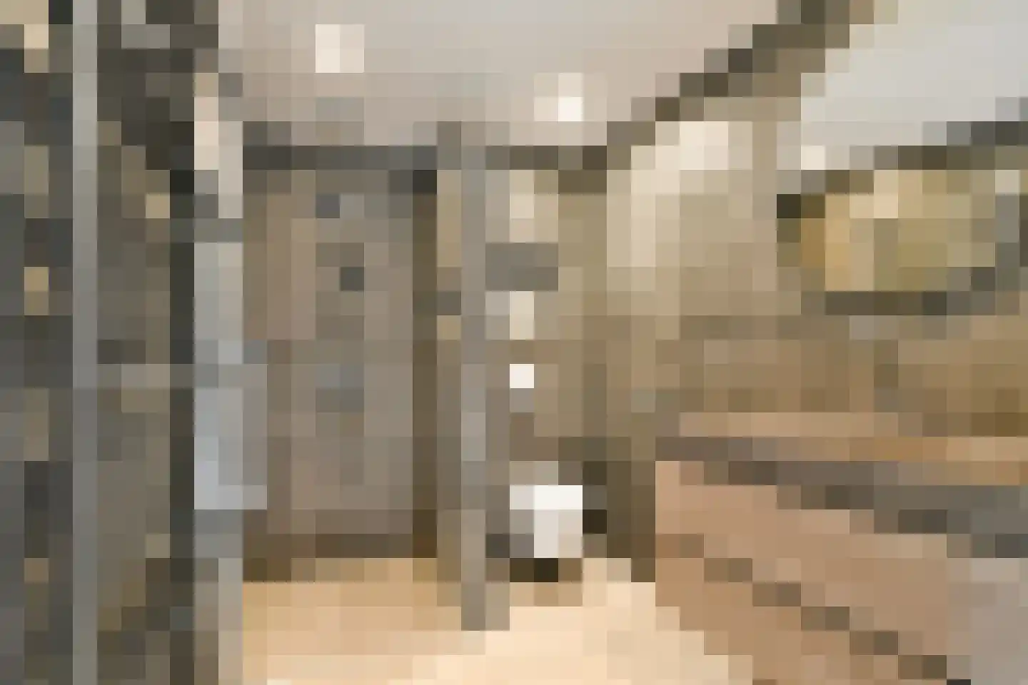 Strawinskystraat 17 Spijkenisse thumbnail 4