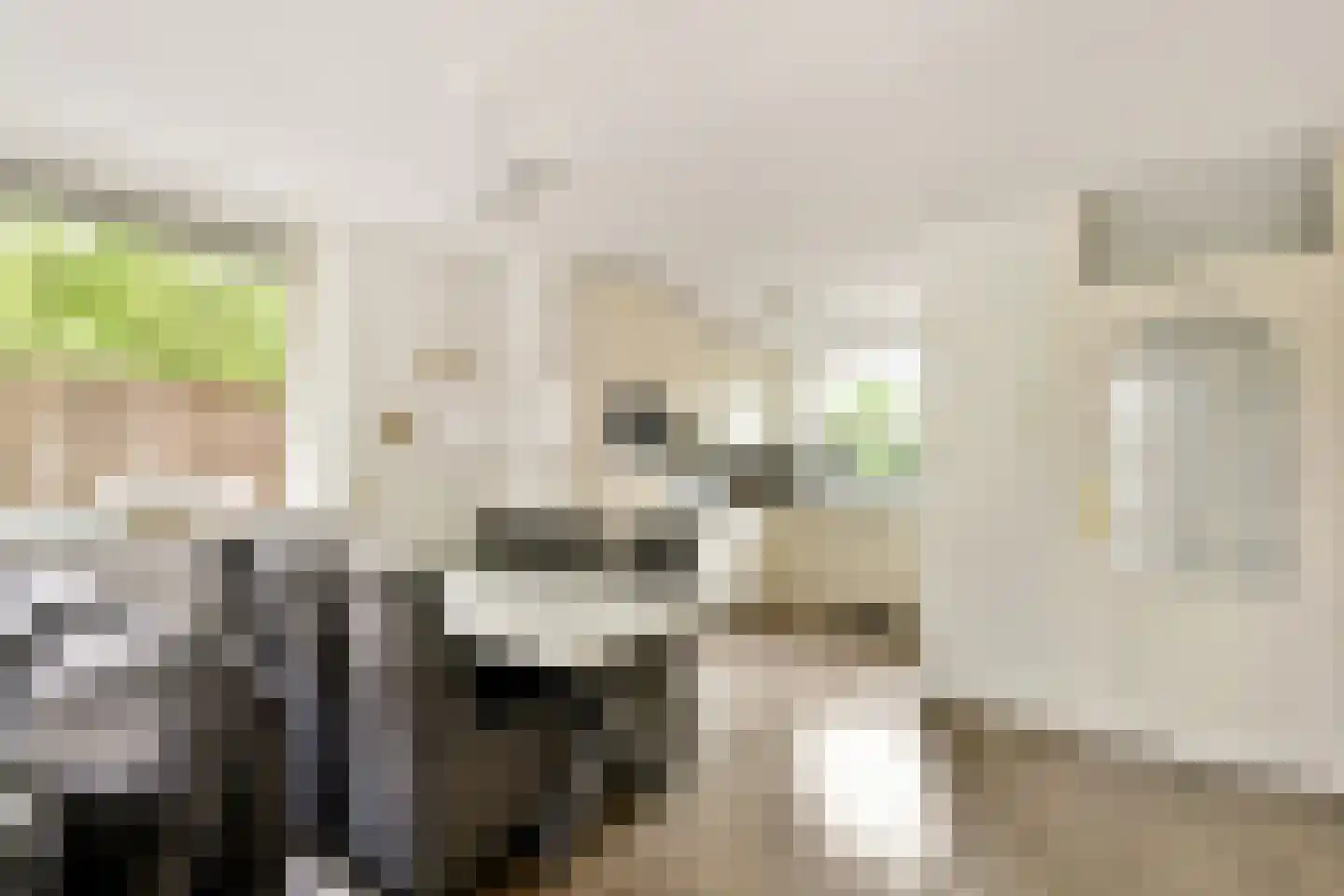 Strawinskystraat 17 Spijkenisse thumbnail 8