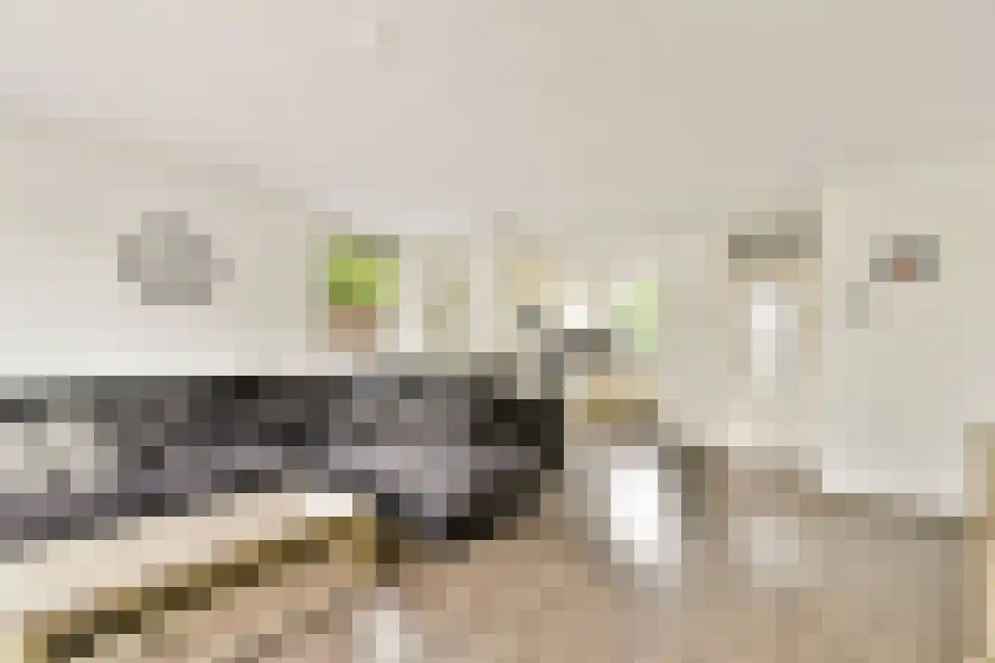 Strawinskystraat 17 Spijkenisse thumbnail 9