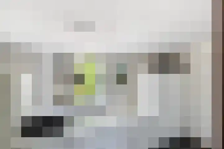 Strawinskystraat 18 Nieuwegein thumbnail 27