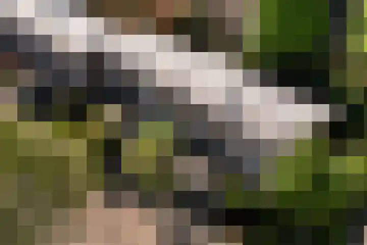 Strawinskystraat 18 Nieuwegein thumbnail 30