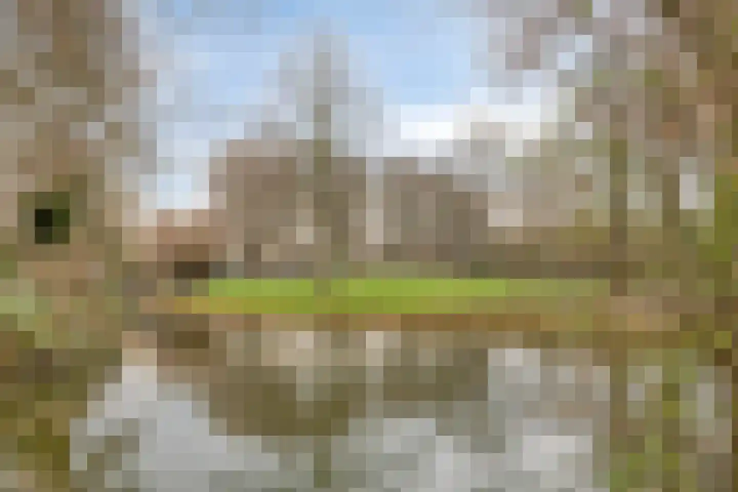 Strawinskystraat 48 Nieuwegein thumbnail 37