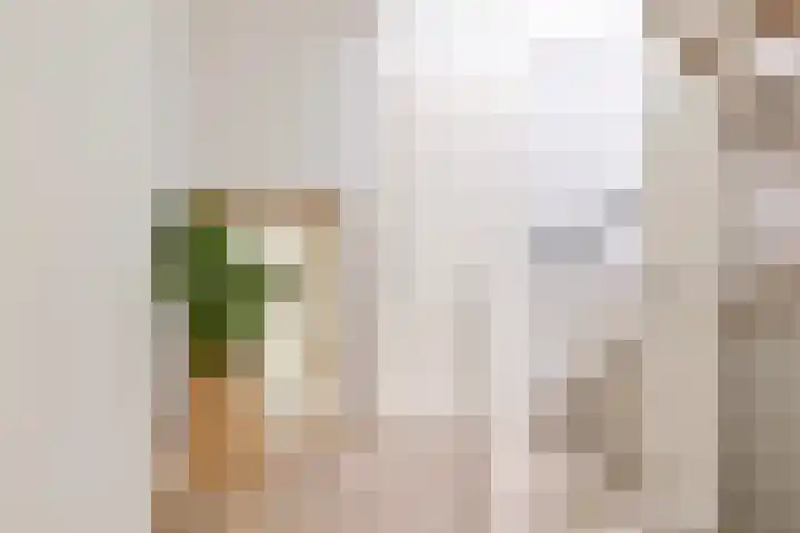 Streefkerkstraat 103 Zoetermeer thumbnail 22