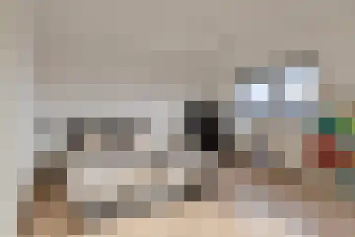 Streefkerkstraat 103 Zoetermeer thumbnail 31