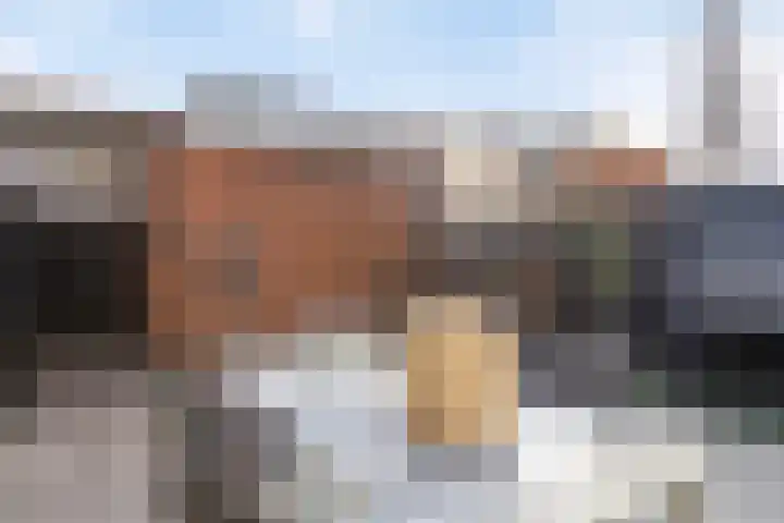 Streefkerkstraat 103 Zoetermeer thumbnail 36