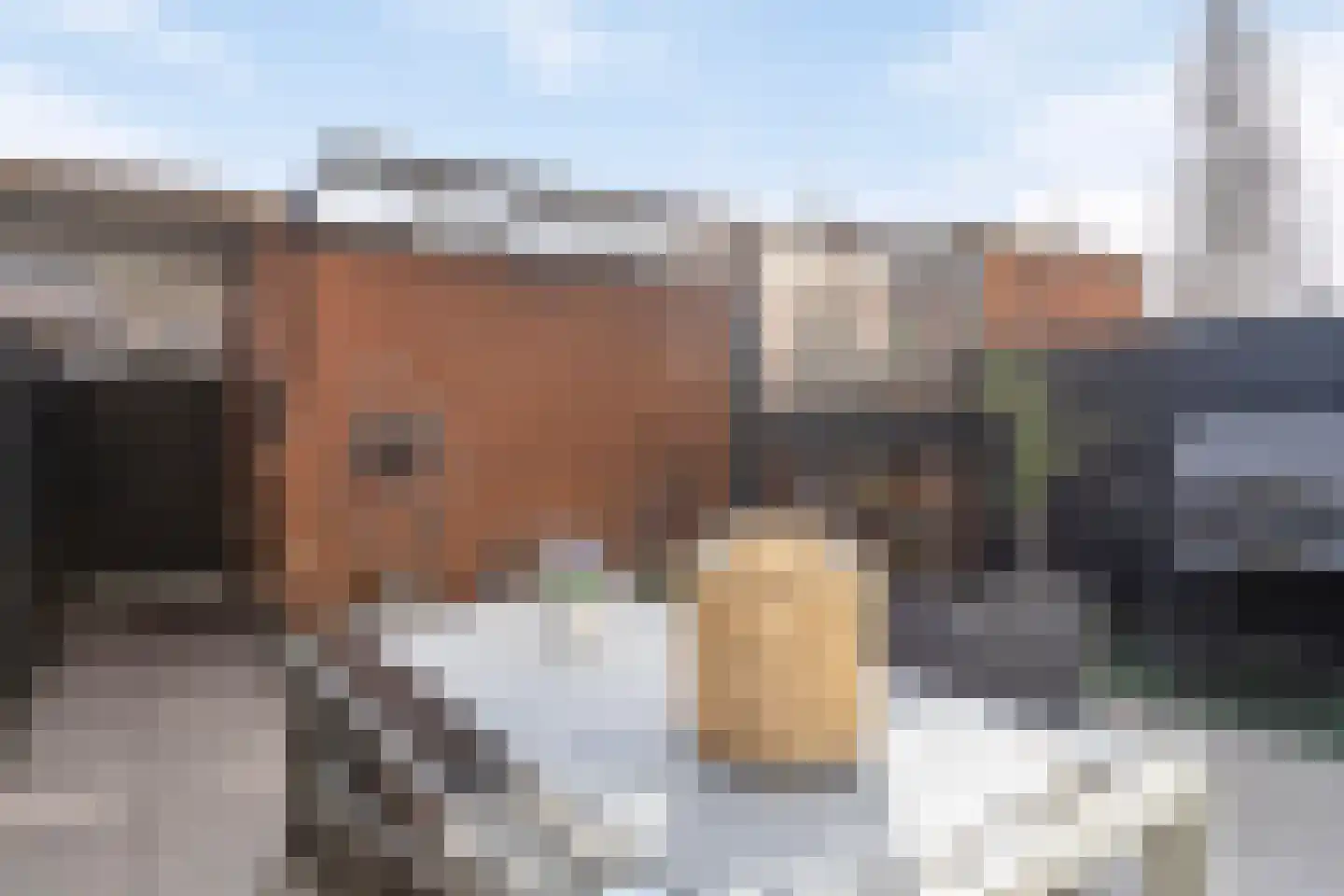 Streefkerkstraat 103 Zoetermeer thumbnail 36