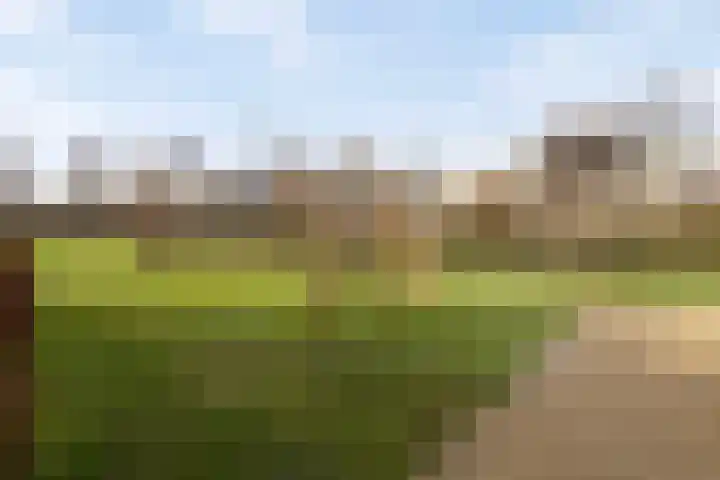 Streefkerkstraat 103 Zoetermeer thumbnail 44