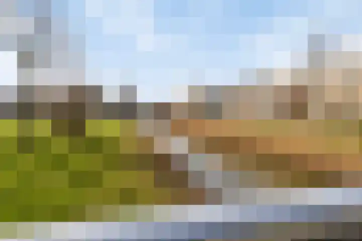 Streefkerkstraat 103 Zoetermeer thumbnail 45