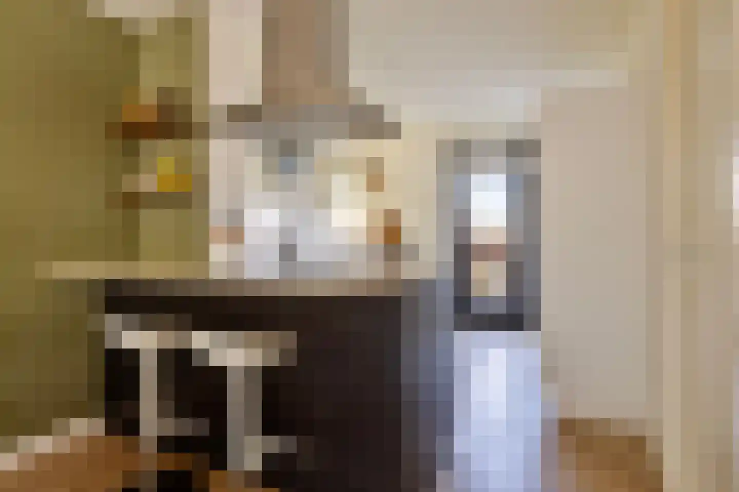 Streefkerkstraat 103 Zoetermeer thumbnail 7