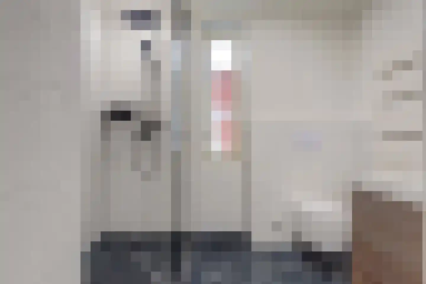 Streefkerkstraat 106 Zoetermeer thumbnail 23