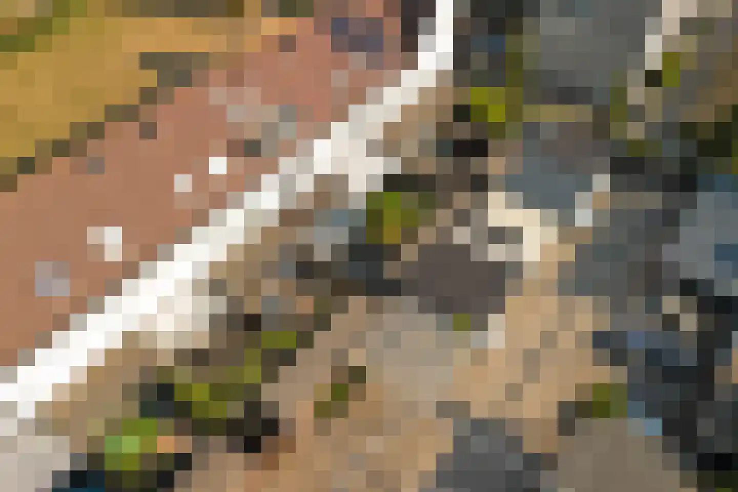 Streefkerkstraat 106 Zoetermeer thumbnail 43