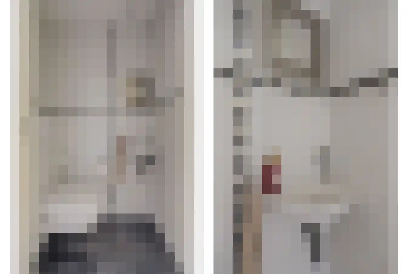 Streefkerkstraat 106 Zoetermeer thumbnail 5