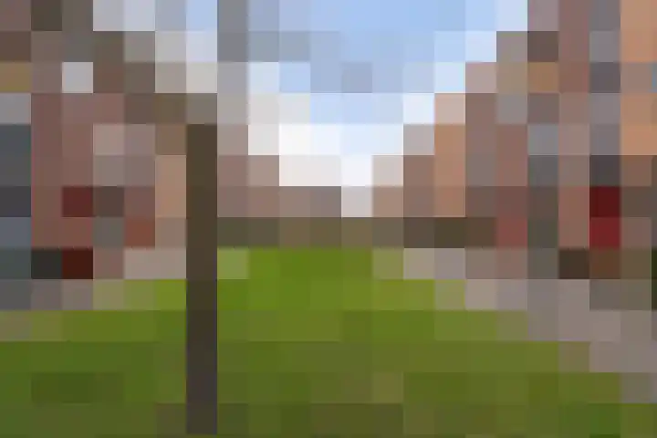 Streefkerkstraat 177 Zoetermeer thumbnail 45