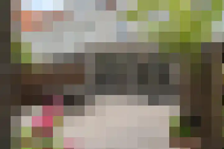 Streefkerkstraat 188 Zoetermeer thumbnail 23