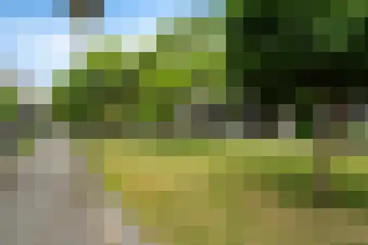 Streefkerkstraat 188 Zoetermeer thumbnail 4