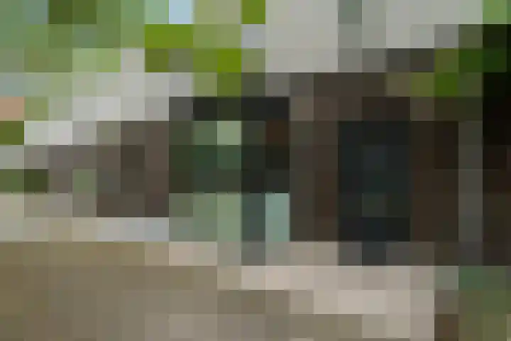 Streefkerkstraat 188 Zoetermeer thumbnail 5