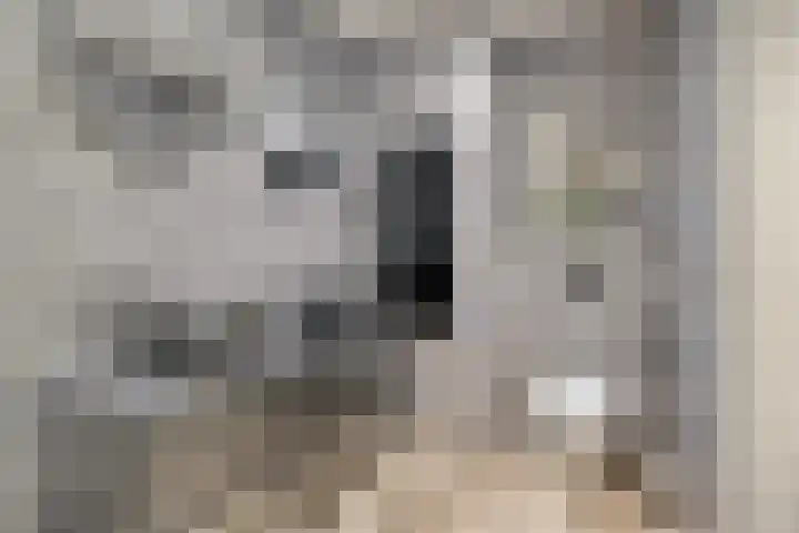 Streefkerkstraat 193 Zoetermeer thumbnail 5