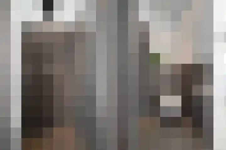 Streefkerkstraat 199 Zoetermeer thumbnail 31