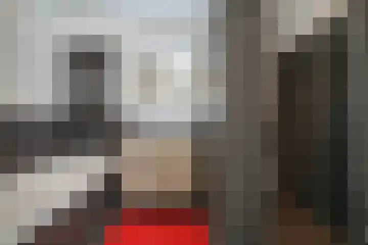 Streefkerkstraat 199 Zoetermeer thumbnail 4