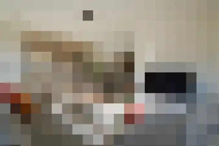 Streefkerkstraat 199 Zoetermeer thumbnail 7