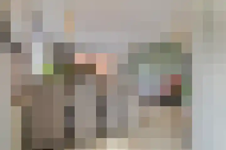 Streefkerkstraat 2 Zoetermeer thumbnail 12