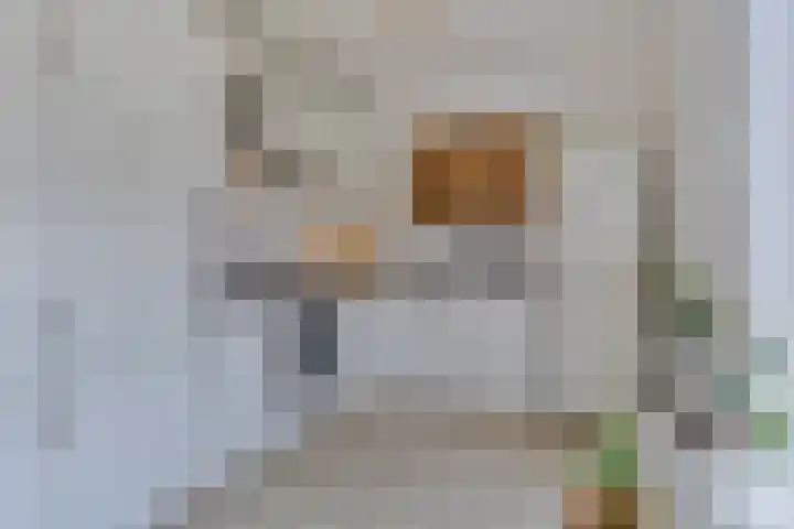 Streefkerkstraat 2 Zoetermeer thumbnail 13
