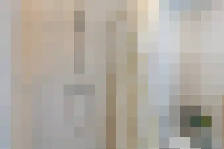 Streefkerkstraat 2 Zoetermeer thumbnail 22