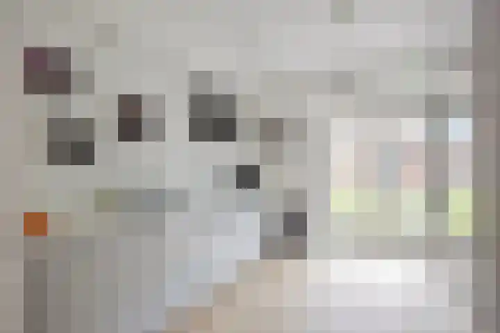 Streefkerkstraat 217 Zoetermeer thumbnail 10