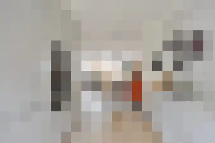 Streefkerkstraat 217 Zoetermeer thumbnail 13