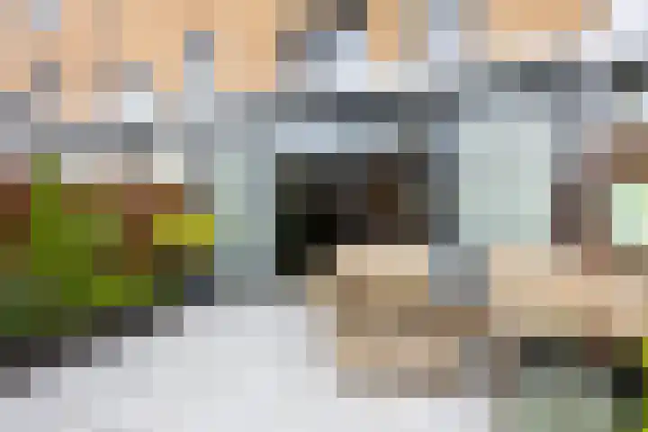 Streefkerkstraat 217 Zoetermeer thumbnail 20