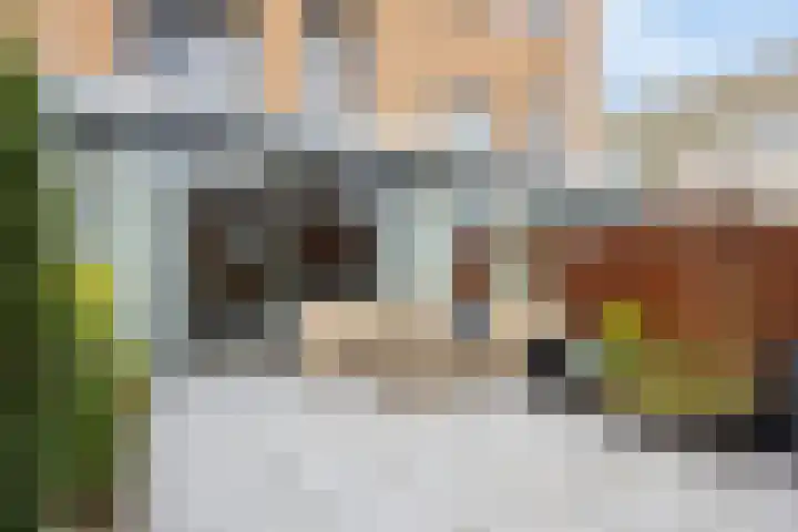 Streefkerkstraat 217 Zoetermeer thumbnail 21