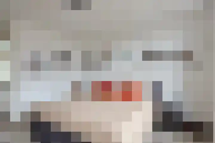 Streefkerkstraat 217 Zoetermeer thumbnail 32