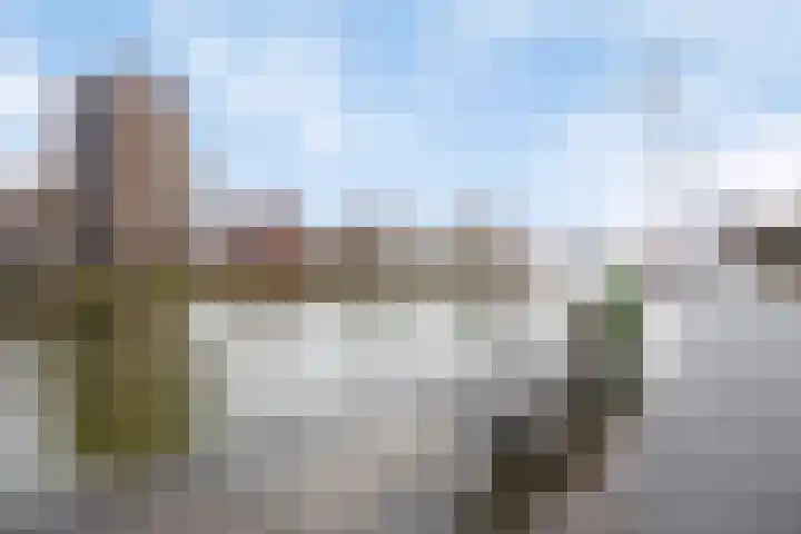Streefkerkstraat 217 Zoetermeer thumbnail 43