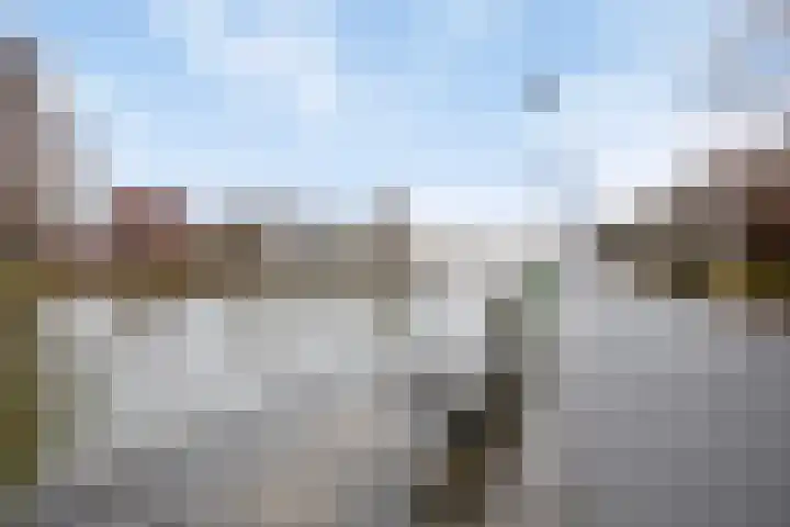 Streefkerkstraat 217 Zoetermeer thumbnail 44