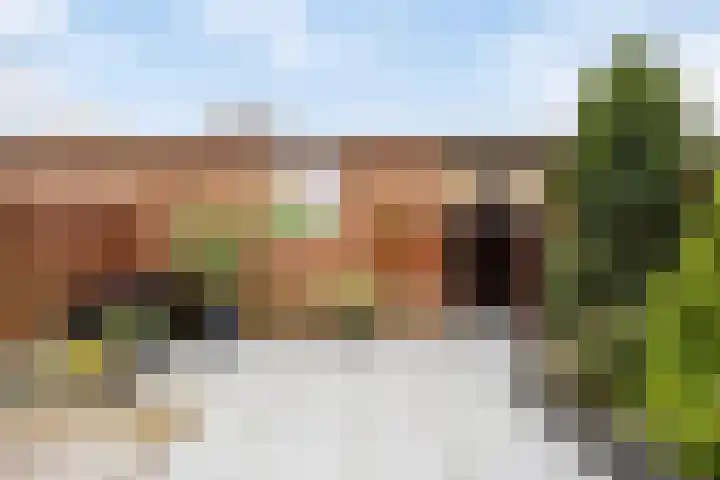 Streefkerkstraat 217 Zoetermeer thumbnail 5