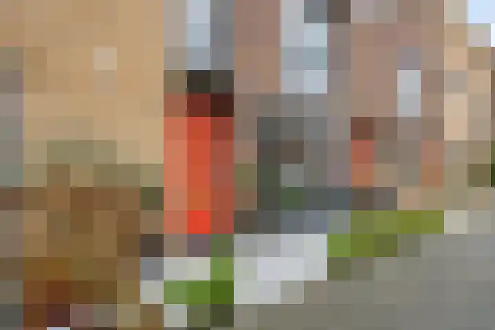 Streefkerkstraat 217 Zoetermeer thumbnail 7