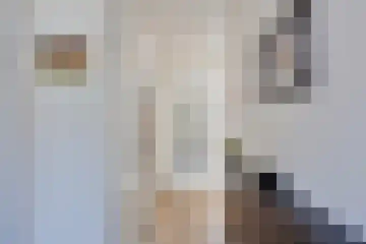 Streefkerkstraat 217 Zoetermeer thumbnail 8