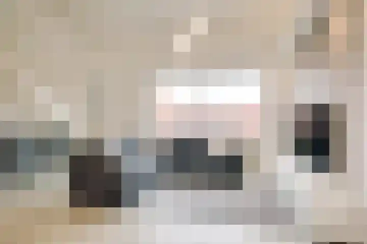 Streefkerkstraat 23 Zoetermeer thumbnail 21