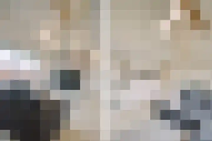 Streefkerkstraat 23 Zoetermeer thumbnail 23