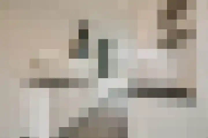 Streefkerkstraat 23 Zoetermeer thumbnail 25