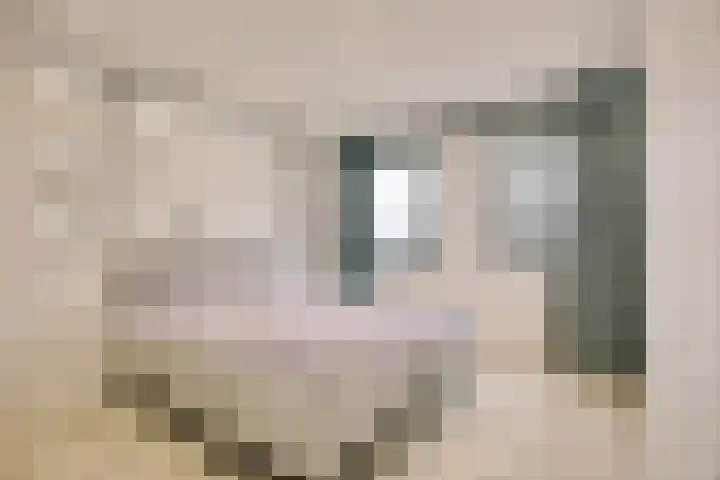 Streefkerkstraat 23 Zoetermeer thumbnail 32