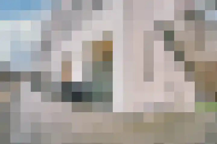 Streefkerkstraat 23 Zoetermeer thumbnail 9