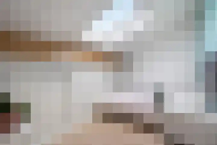 Streefkerkstraat 24 Zoetermeer thumbnail 17