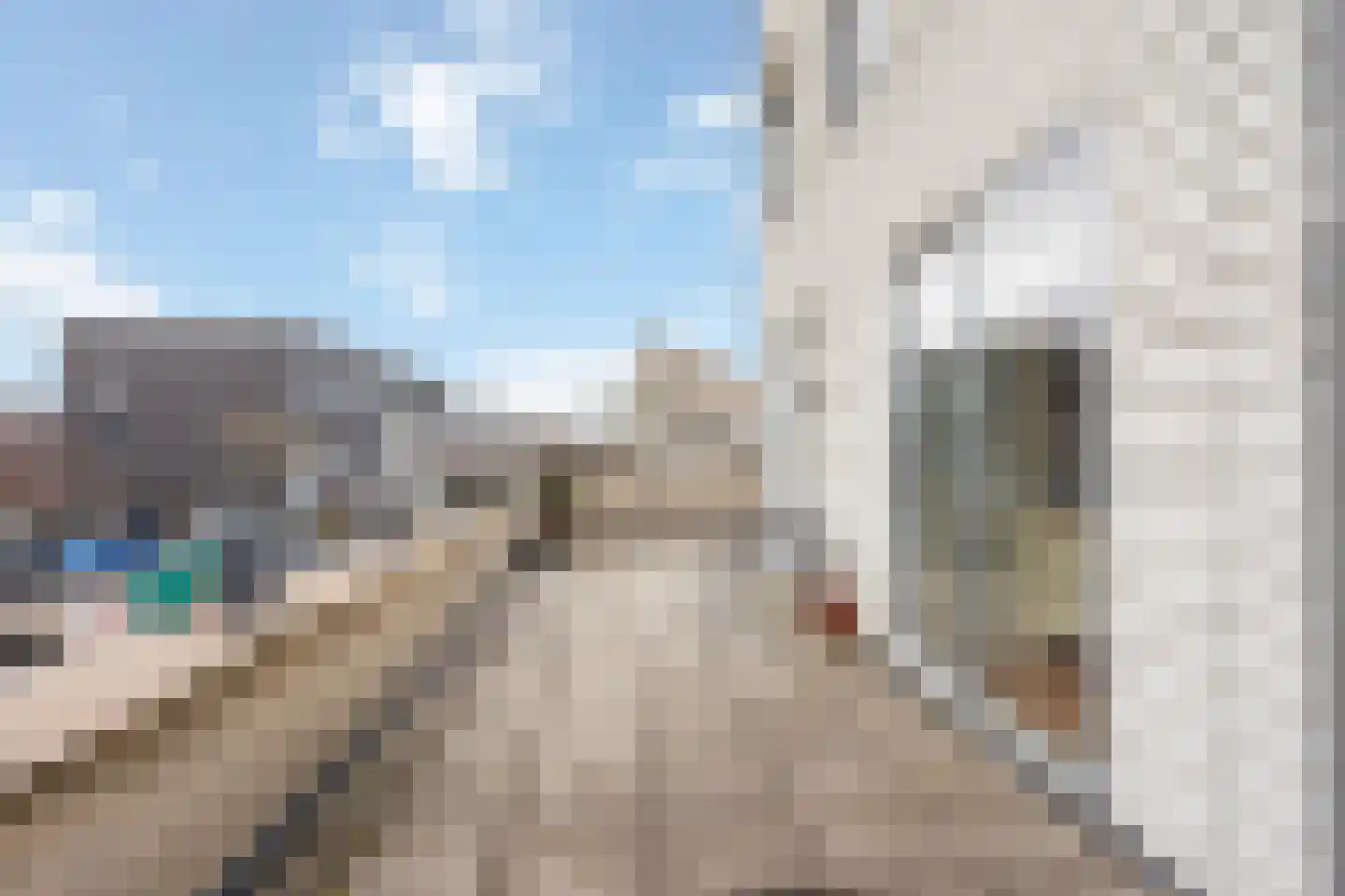 Streefkerkstraat 24 Zoetermeer thumbnail 19