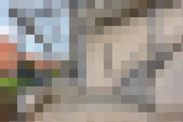 Streefkerkstraat 24 Zoetermeer thumbnail 20
