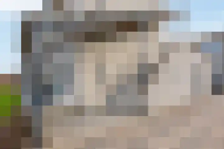 Streefkerkstraat 24 Zoetermeer thumbnail 21