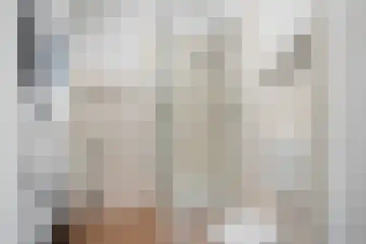 Streefkerkstraat 24 Zoetermeer thumbnail 8