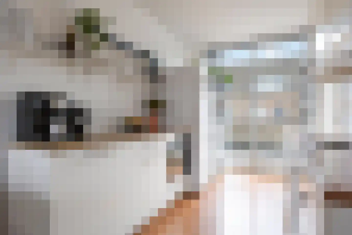Streefkerkstraat 24 Zoetermeer thumbnail 9