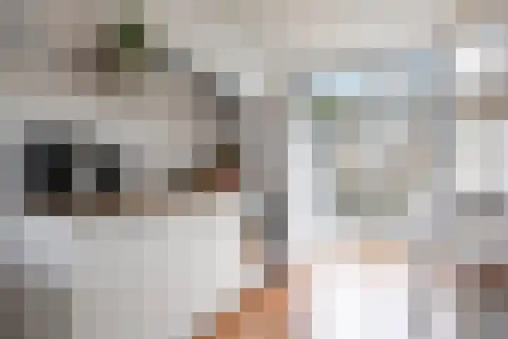 Streefkerkstraat 24 Zoetermeer thumbnail 9